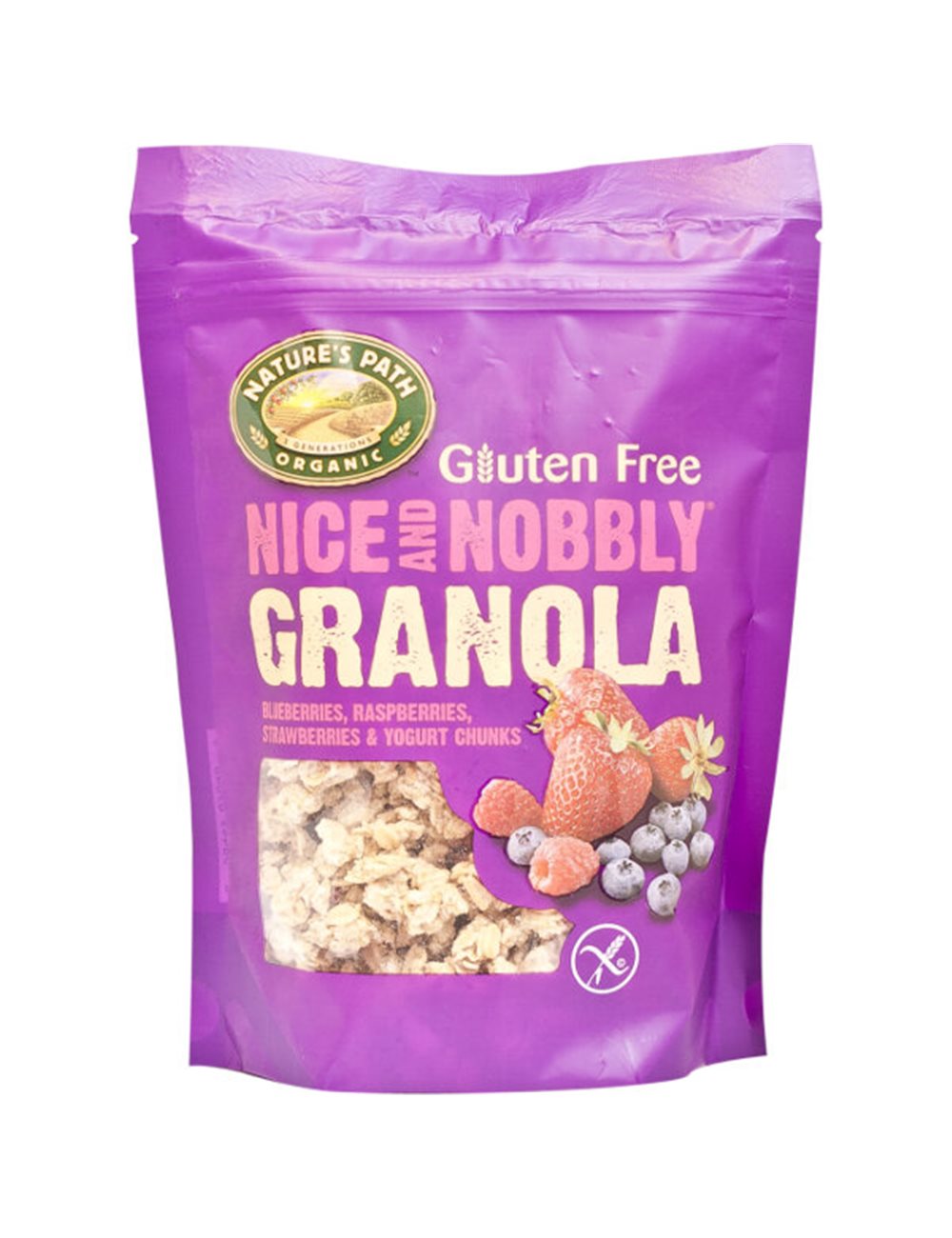 Nice & Nobbly Granola fruit & noten (box) BIO/Glutenvrij 325g